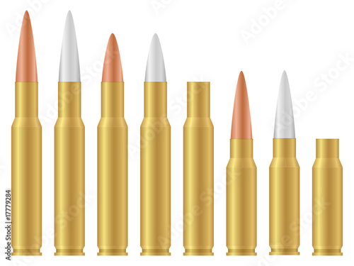 Vector bullets