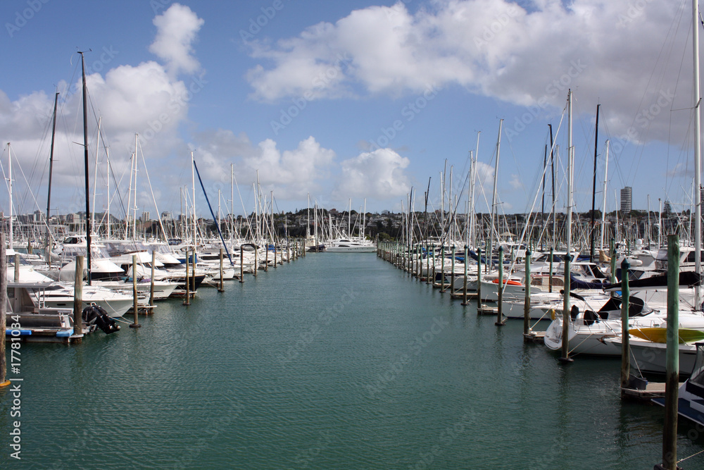 Marina with Boats, Blue Sky and White Clouds