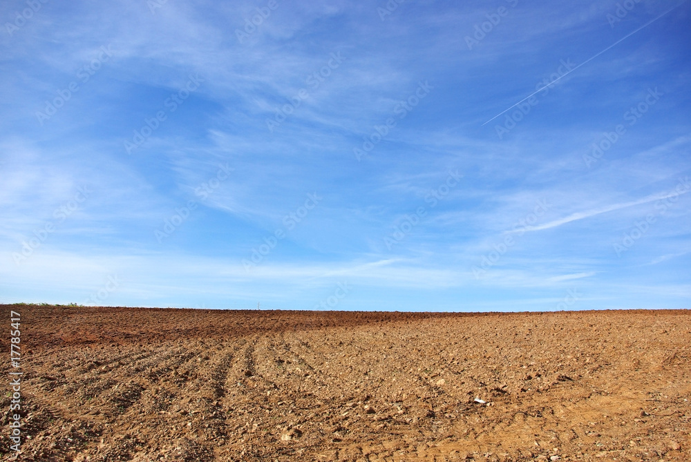 Agricultural Background.