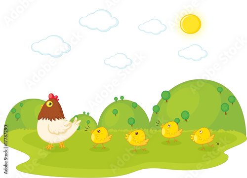 birds