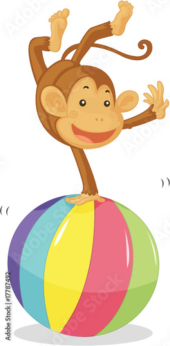 monkey