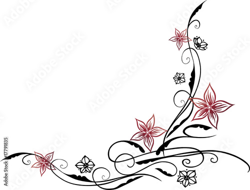 Blume, Blüte, Ranke, filigran, floral, schwarz rot