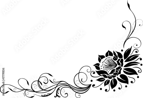 Große Blüte, Blume, Seerose, Rose, Lotusblüte, Lotus photo