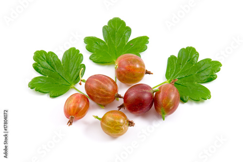 Ripe gooseberry