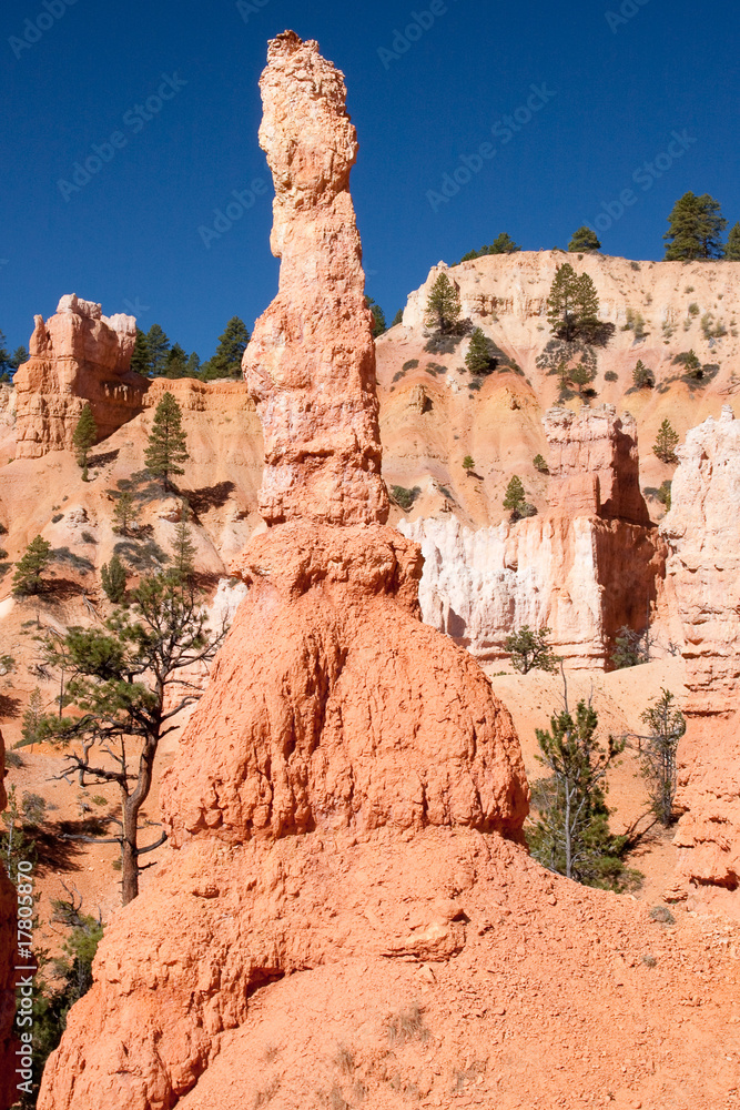 Fototapeta premium Hoodoos of Bryce Canyon National Park