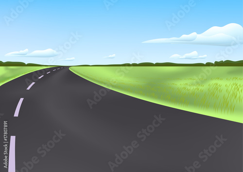 Road in the field
