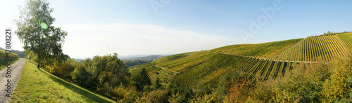 Weinberge