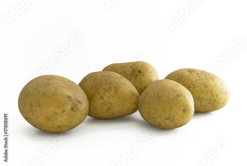 Potato group