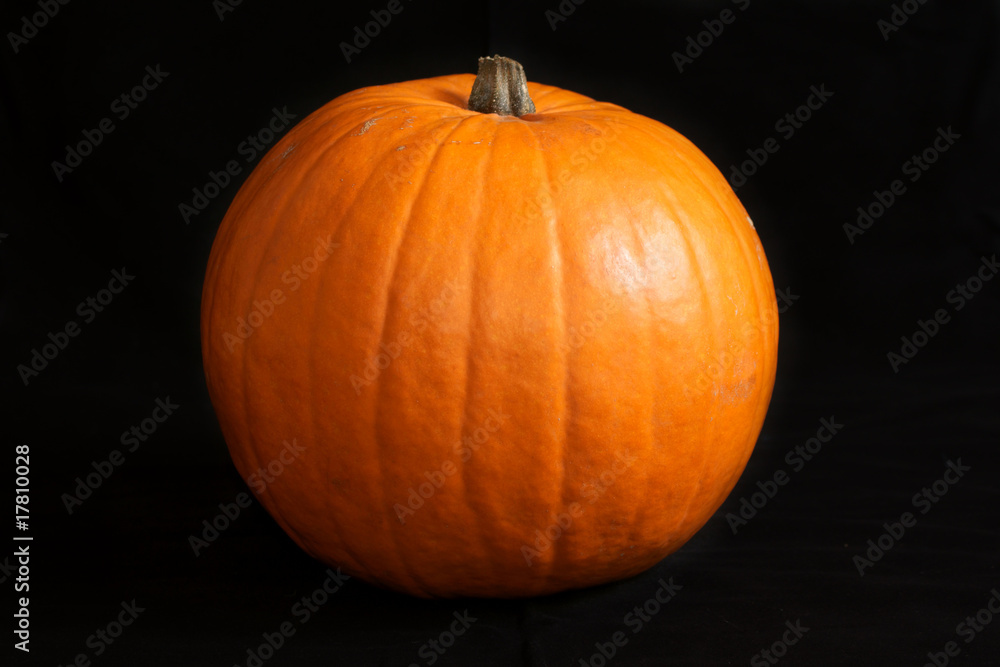 pumpkin pumpkin