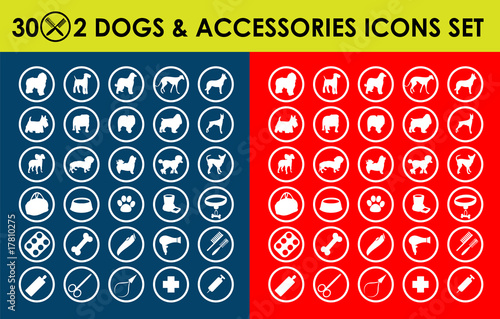 30x2 dogs icons and Dog accessories,vector pet, medical, meal, g