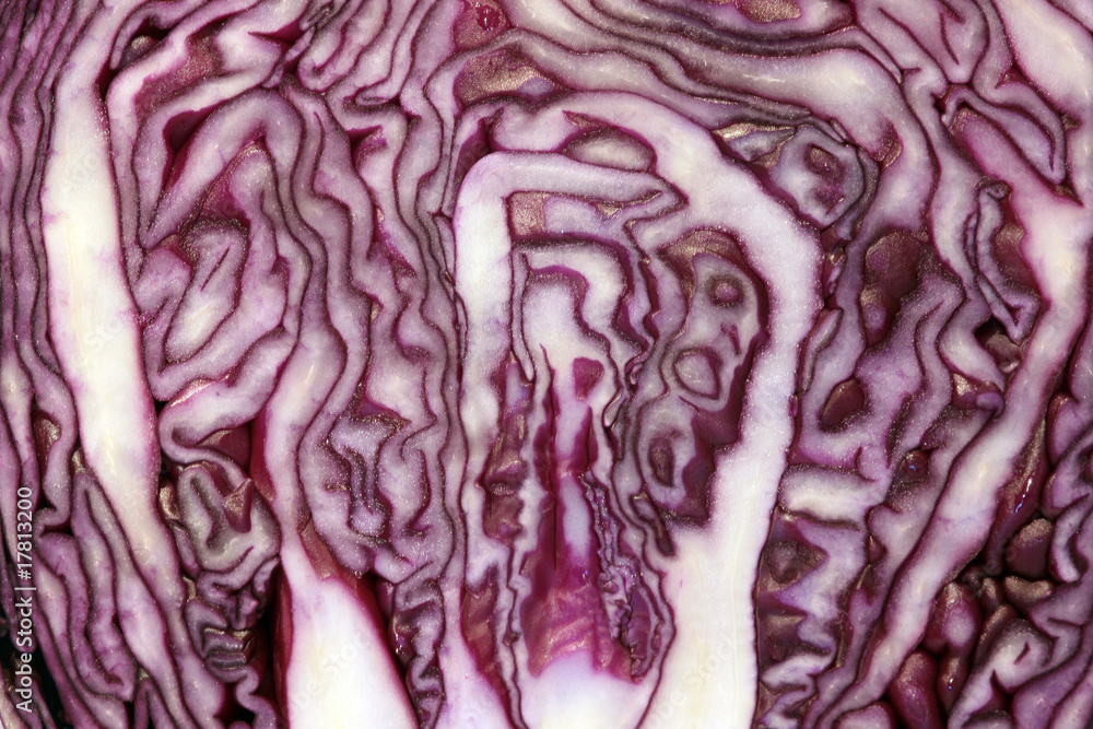 Obraz premium Rotkohl