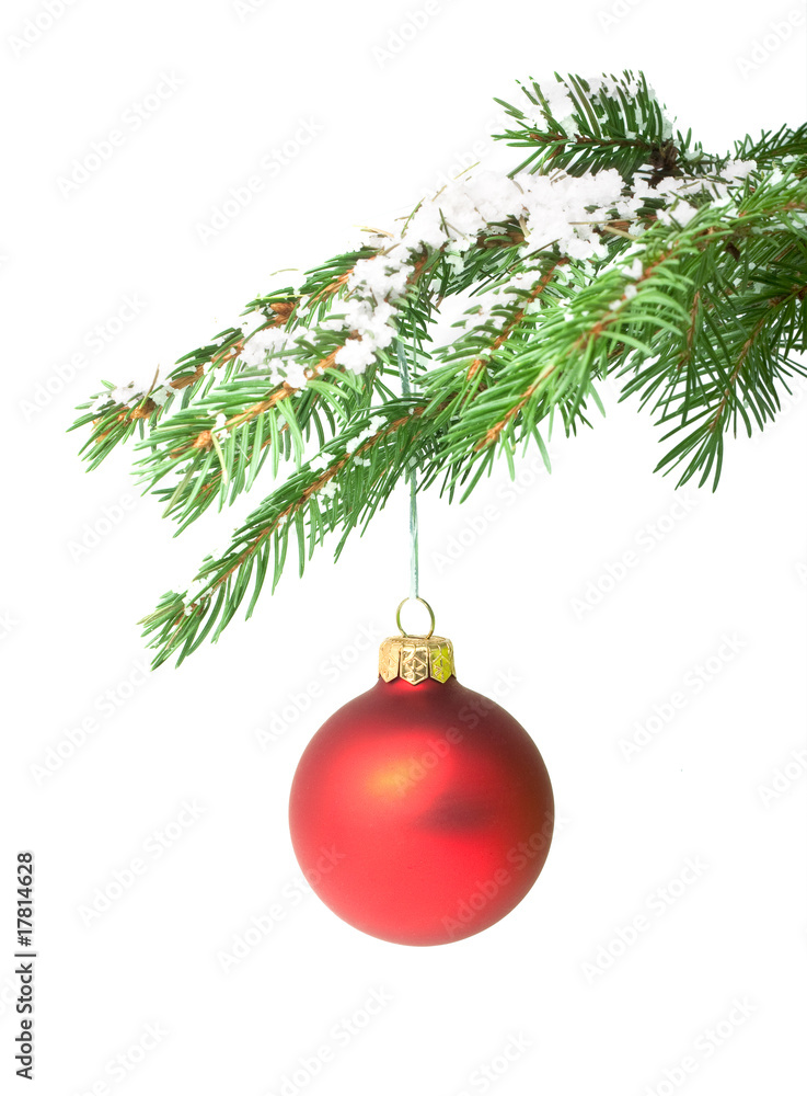 Branch with a Christmas toy Branch with a Christmas toy