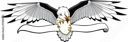Eagle with banner