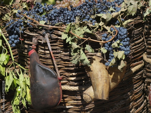 Uvas negras y bota de vino photo