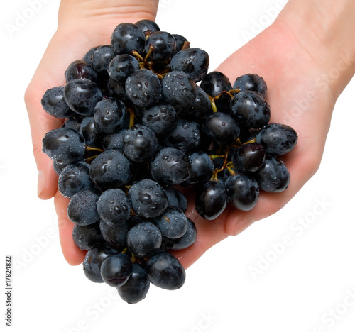 grapes in hands