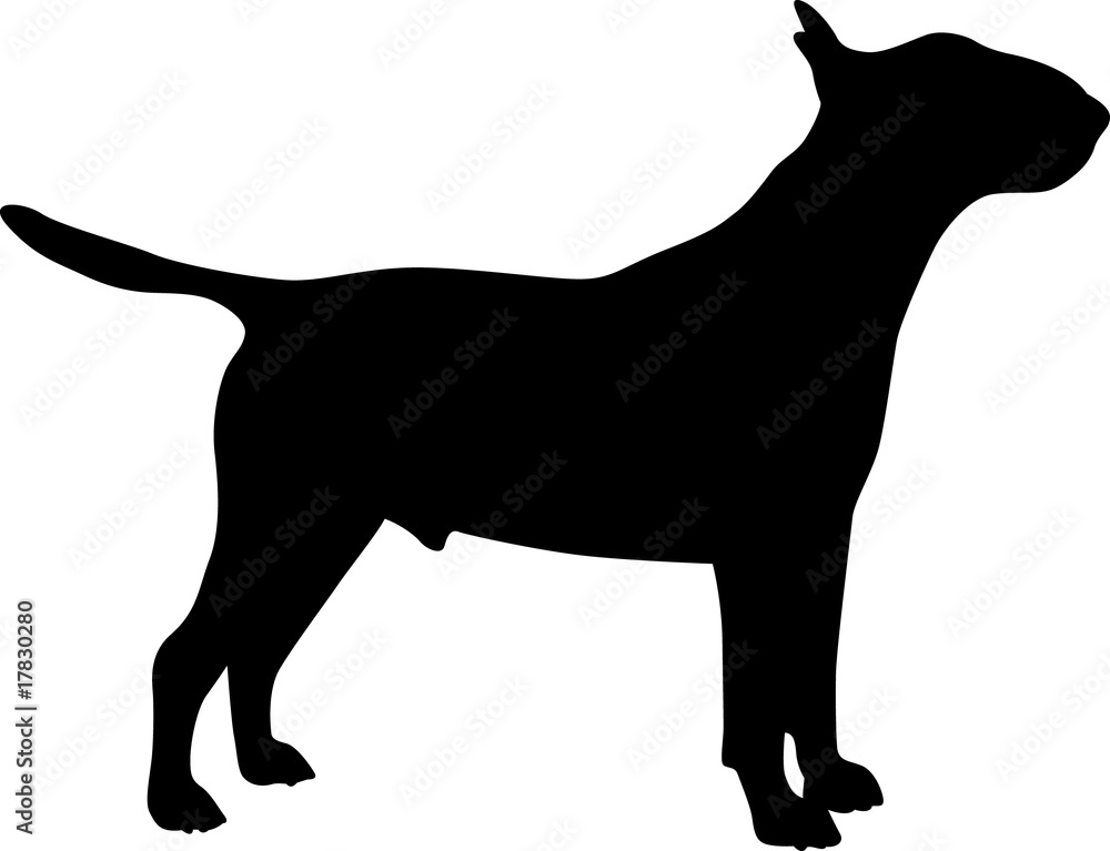 Bull Terrier - Silhouette