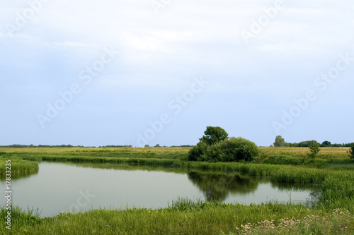 Fototapeta Naklejka Na Ścianę i Meble -  Summer rushy lake panorama view