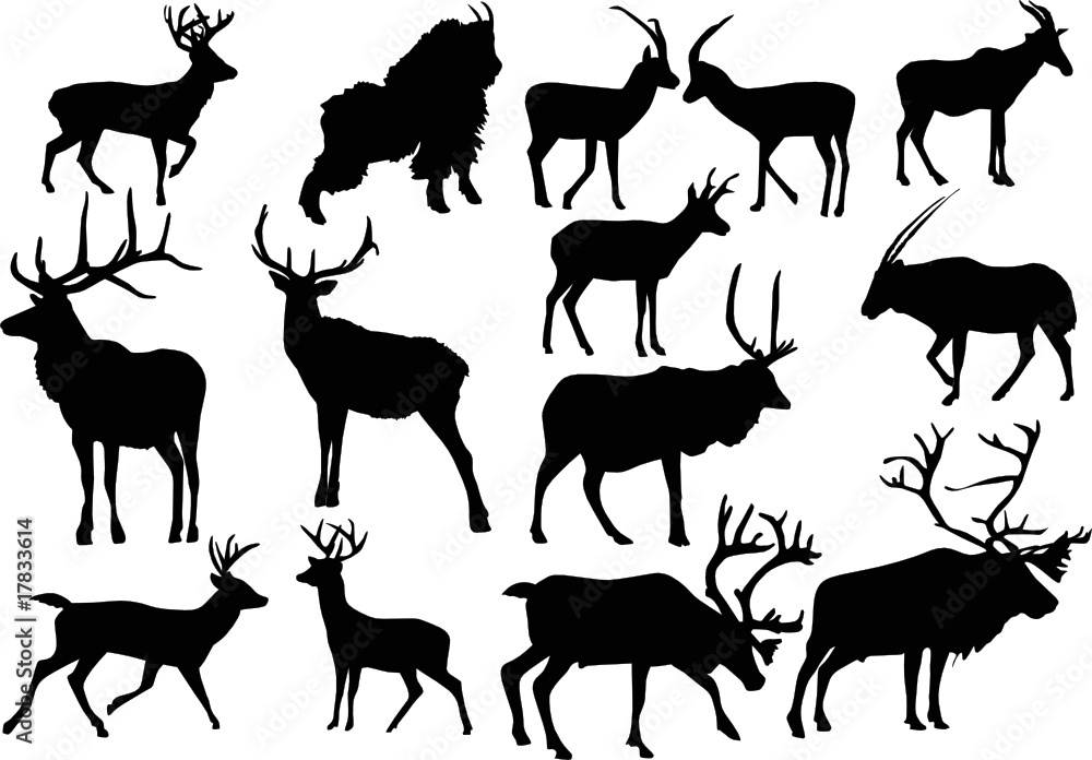 fourteen horned animals fourteen horned animals