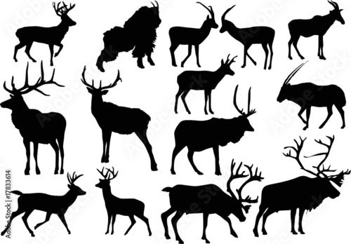 fourteen horned animals