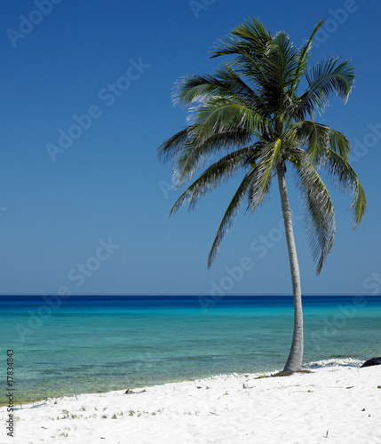Canvas Print María la Gorda, Pinar del Río Province, Cuba