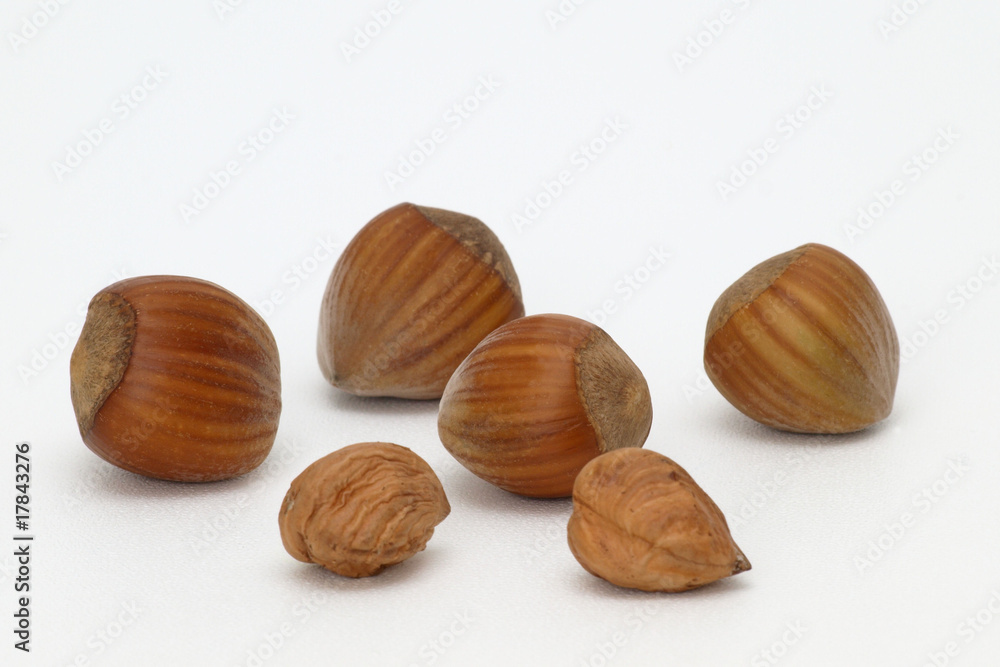noisettes noisettes