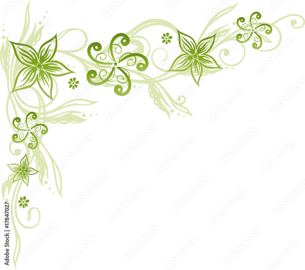 Blume, Blüte, Ranke, filigran, floral, ornamental, grün Stock ...