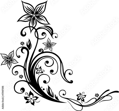 Blume, Blüte, Ranke, filigran, floral, ornamental, schwarz