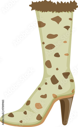 shoe