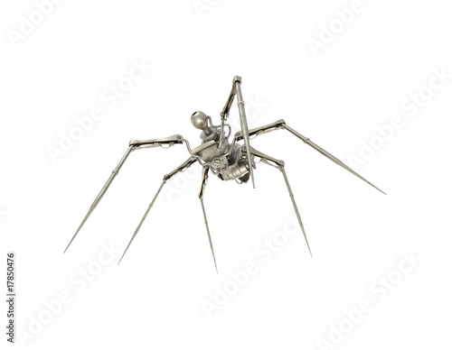 Bottom view of cyber spider