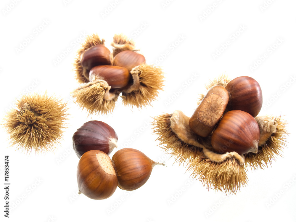 Sweet chestnuts Sweet chestnuts