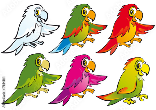 loros colores