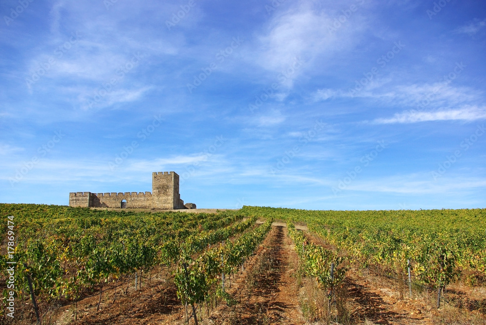Landscape with grapevines and an old castle.