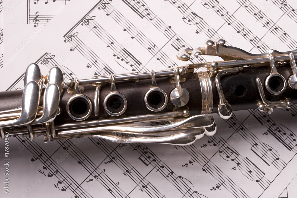 Obraz premium clarinet