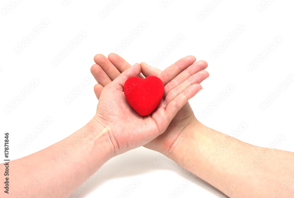 The Heart on palms. The Heart on palms.