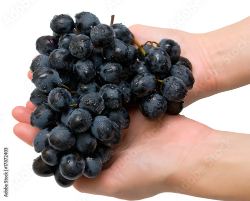 grapes in hands