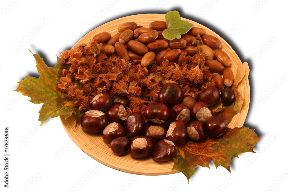 Obraz premium Herbstdekoration