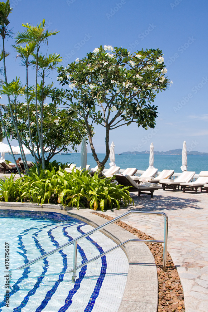 Swimming pool on a sunny day.