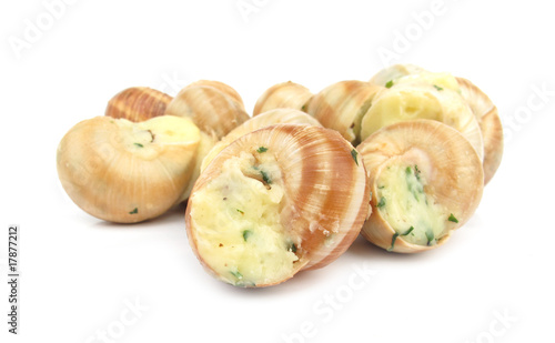 Snail escargot prapared as food photo