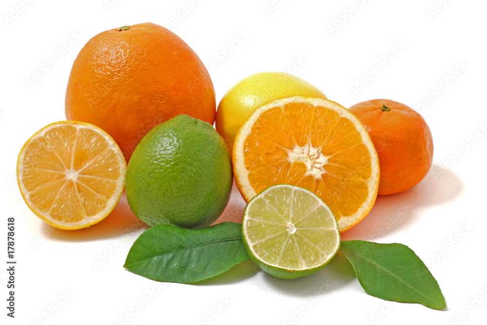 Fototapeta premium Citrus