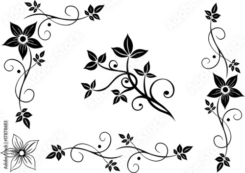 Blumen, Blätter, Laub, Ornament, floral, Muster, Set