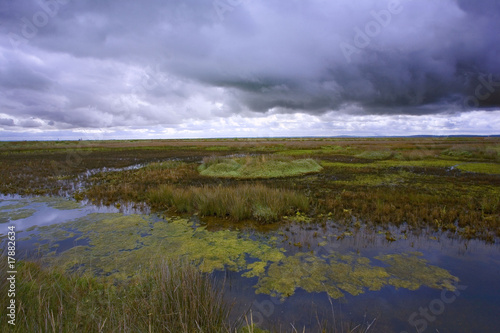 france,charente maritime,oléron : marais des bris