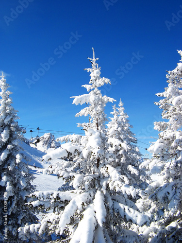 Winter in the alps