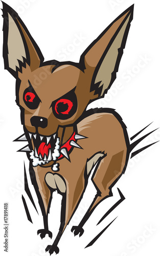 Loco Chihuahua