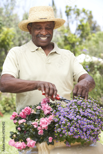 Senior Man Gardening