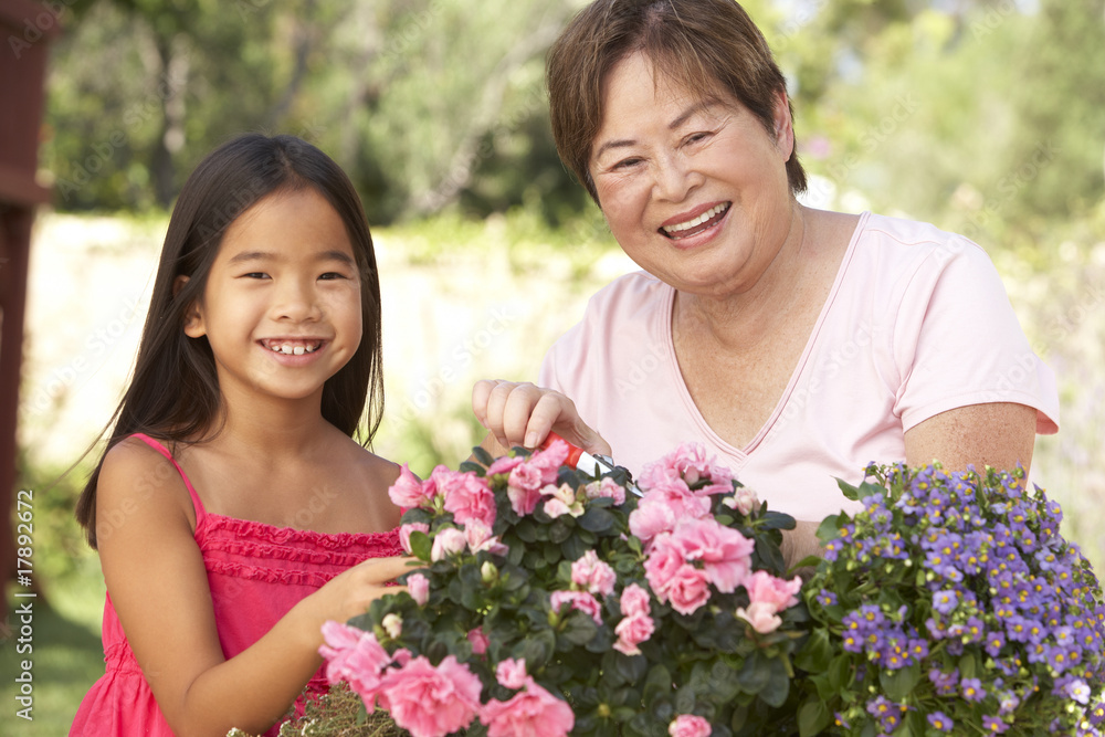 Granddaughter And Grandmother Gardening Together Granddaughter And Grandmother Gardening Together