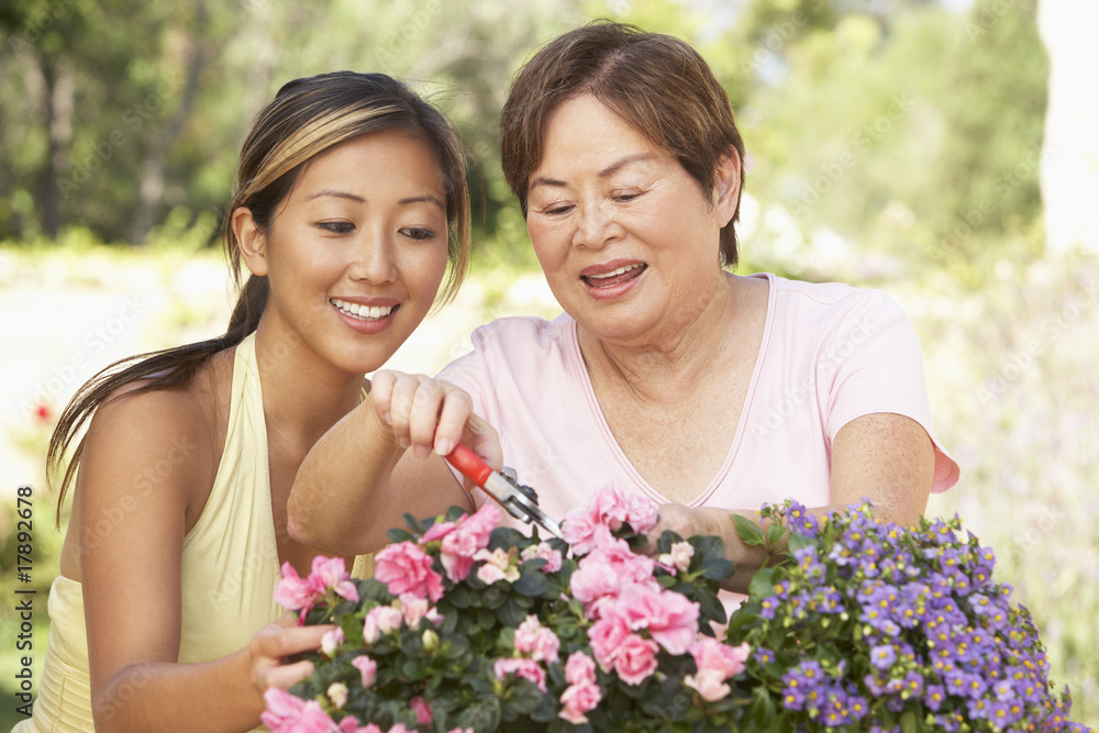 Mother With Adult Daughter Gardening Together Mother With Adult Daughter Gardening Together