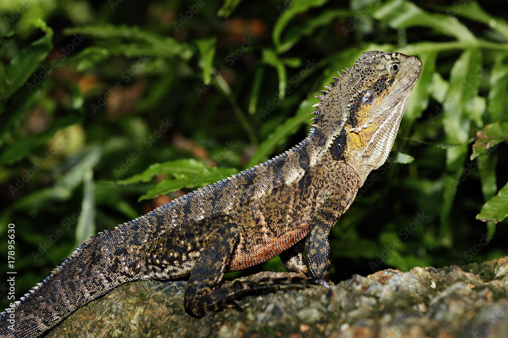 Wasseragame Wasseragame
