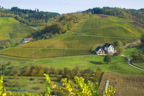 Bottenau im Schwarzwald photo