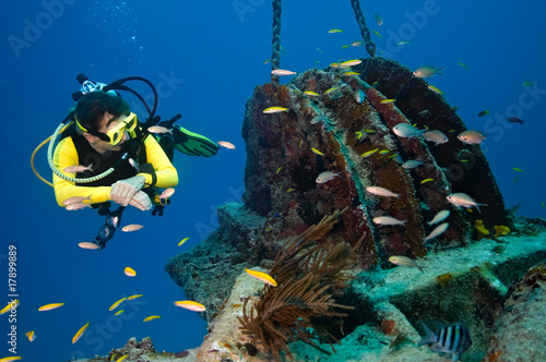 Female diver explores wreck