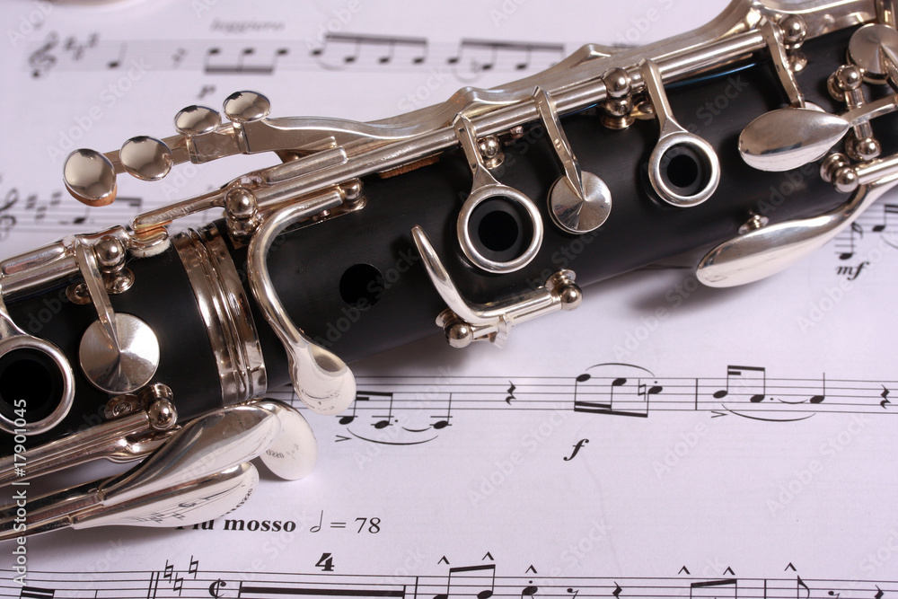 Obraz premium Clarinet on music